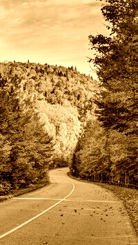 Sepia