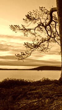 Sepia
