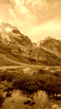 Sepia
