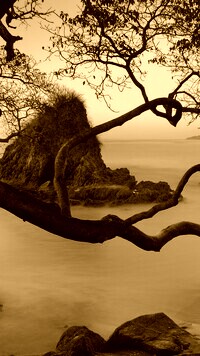 Sepia