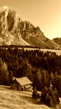 Sepia