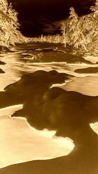 Sepia + Negatyw