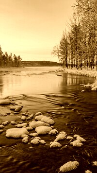 Sepia
