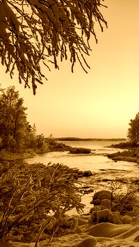 Sepia