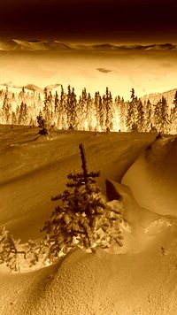 Sepia + Negatyw