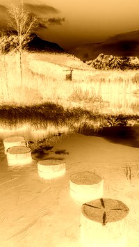 Sepia + Negatyw