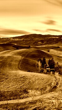 Sepia