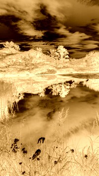 Sepia + Negatyw