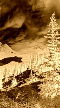 Sepia + Negatyw