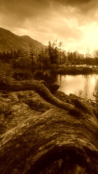 Sepia