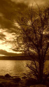 Sepia