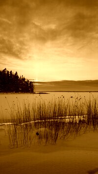 Sepia