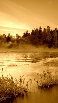 Sepia