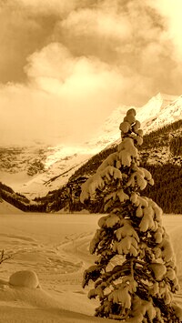 Sepia
