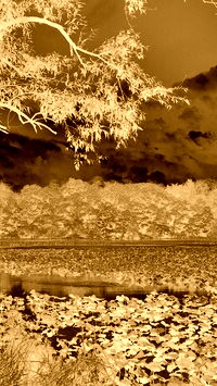 Sepia + Negatyw