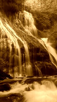 Sepia