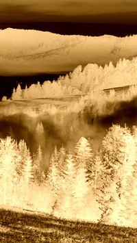 Sepia + Negatyw