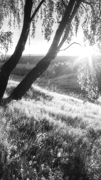 Szary + Sepia