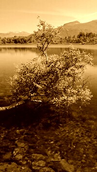 Sepia