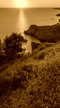 Sepia