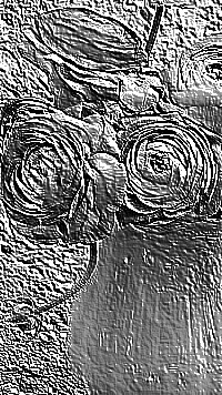 Skamielina