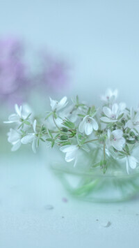 Oryginalny obrazek