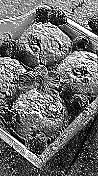 Skamielina
