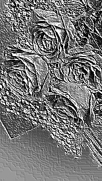 Skamielina