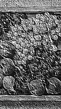 Skamielina