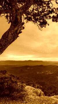 Sepia