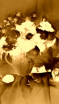Sepia + Negatyw