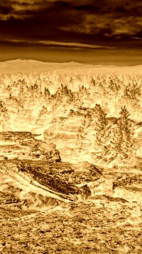 Sepia + Negatyw