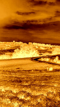 Sepia + Negatyw