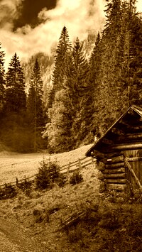 Sepia