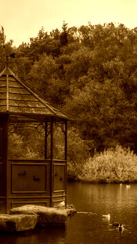 Sepia