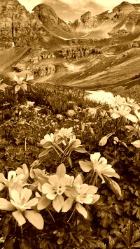 Sepia