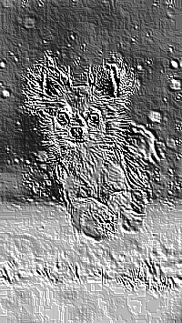 Skamielina