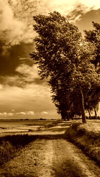 Sepia