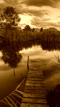 Sepia