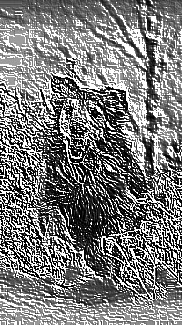 Skamielina