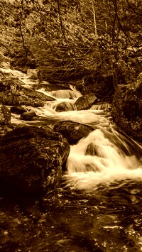 Sepia