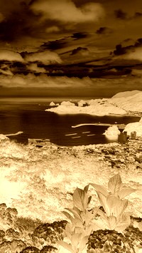 Sepia + Negatyw