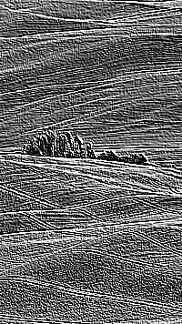 Skamielina
