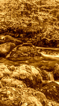 Sepia