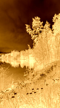Sepia + Negatyw