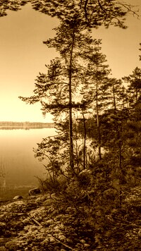 Sepia