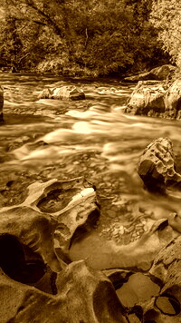 Sepia