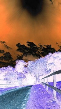 Negatyw