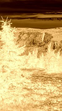 Sepia + Negatyw