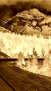 Sepia + Negatyw